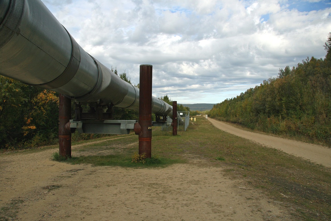 oil pipeline in the woods